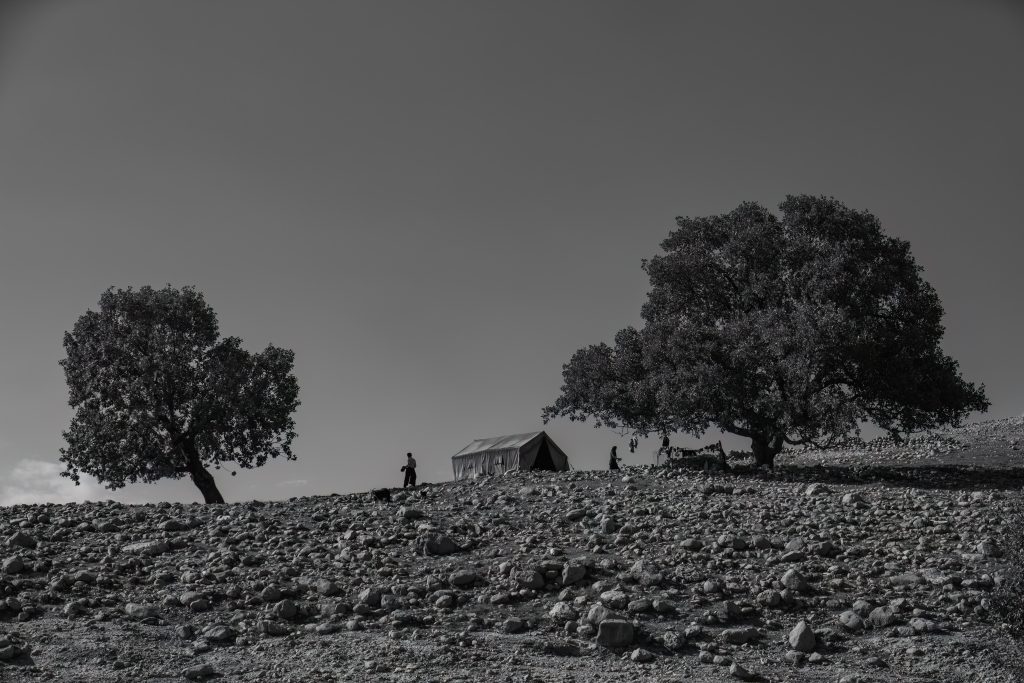 TEACHING AMONGST THE NOMADS