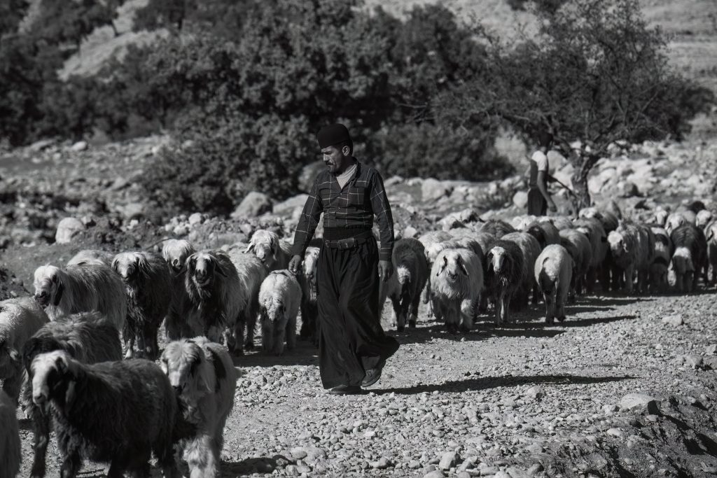TEACHING AMONGST THE NOMADS