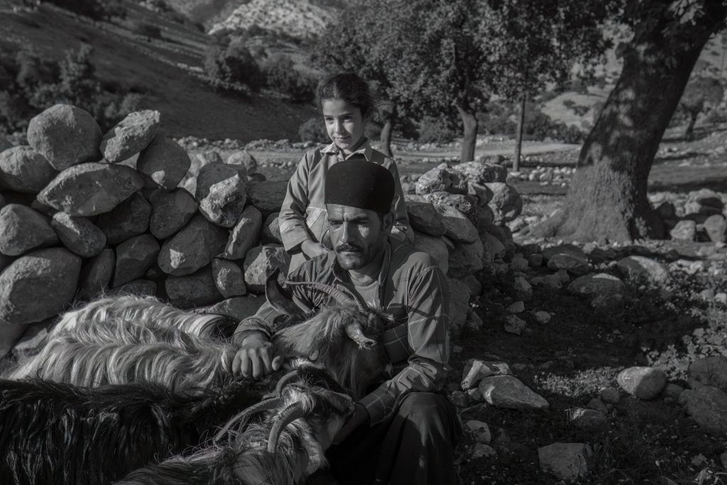 TEACHING AMONGST THE NOMADS