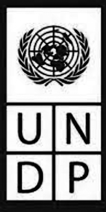 UNDP UNDP